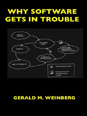 cover image of Why Software Gets In Trouble